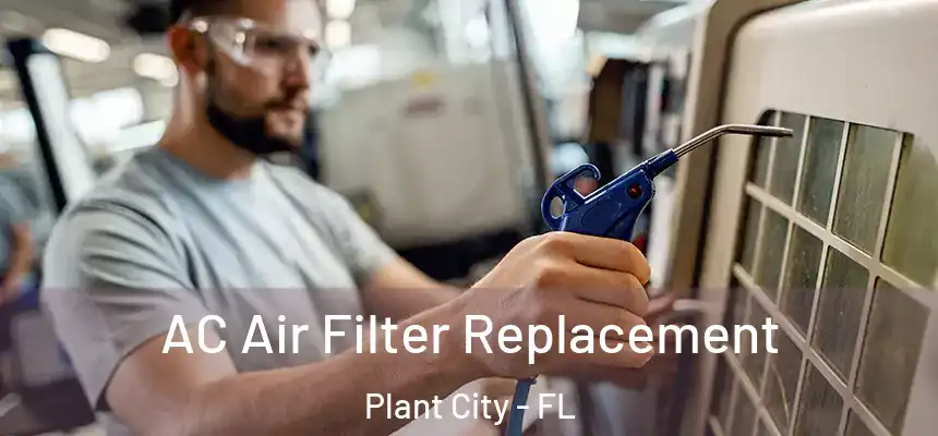 AC Air Filter Replacement Plant City - FL