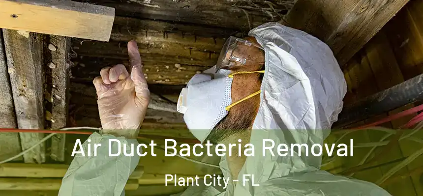 Air Duct Bacteria Removal Plant City - FL