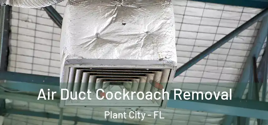 Air Duct Cockroach Removal Plant City - FL