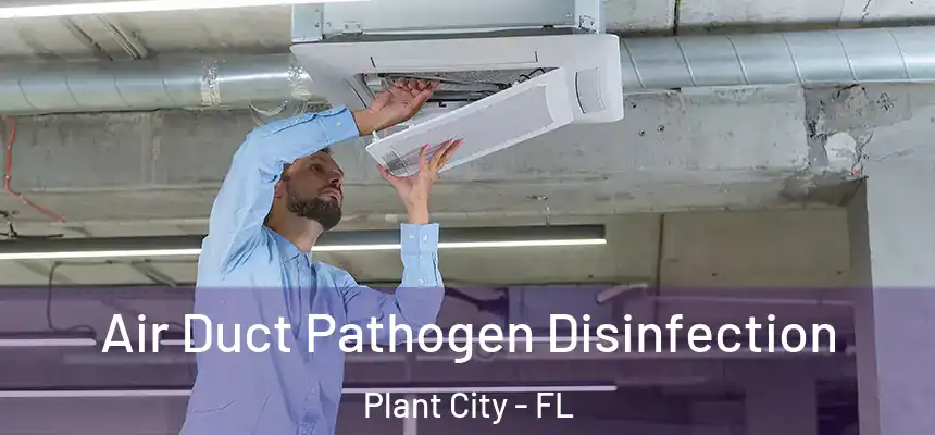 Air Duct Pathogen Disinfection Plant City - FL