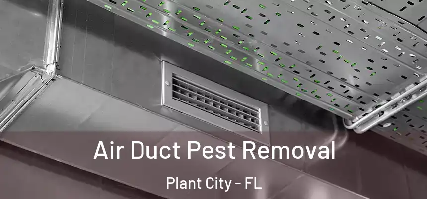 Air Duct Pest Removal Plant City - FL