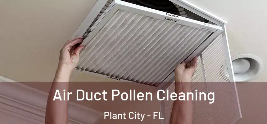 Air Duct Pollen Cleaning Plant City - FL