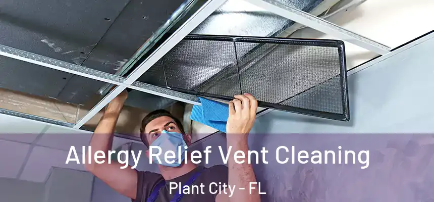 Allergy Relief Vent Cleaning Plant City - FL