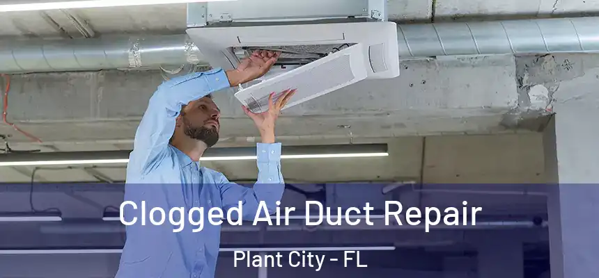 Clogged Air Duct Repair Plant City - FL
