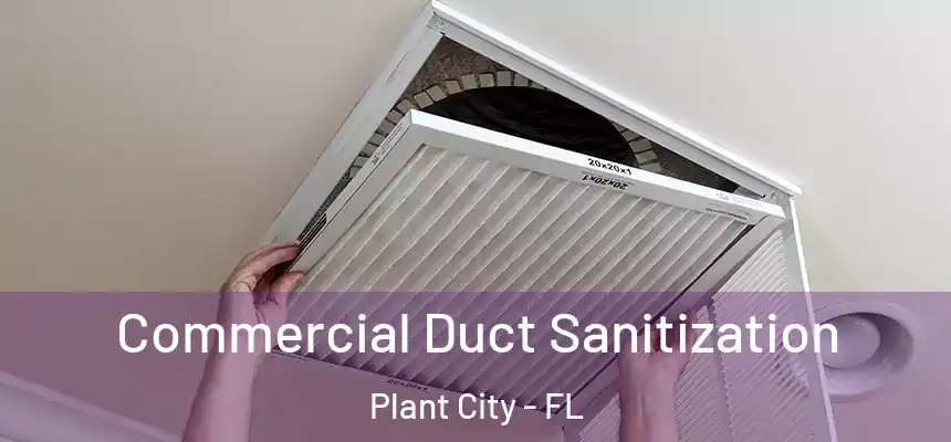 Commercial Duct Sanitization Plant City - FL