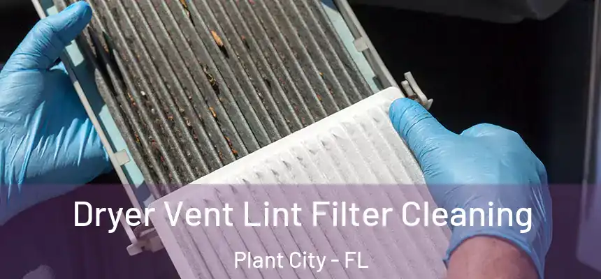 Dryer Vent Lint Filter Cleaning Plant City - FL