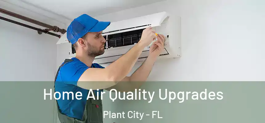 Home Air Quality Upgrades Plant City - FL