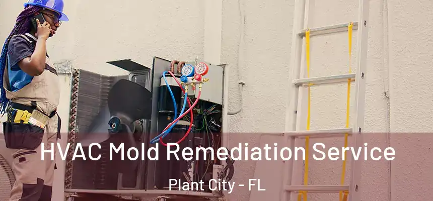  HVAC Mold Remediation Service Plant City - FL