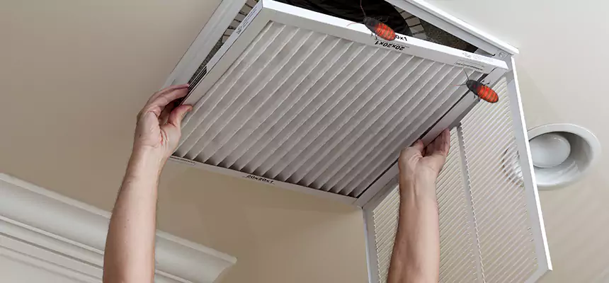 Preventive Cockroach-Proofing for Ducts in Plant City