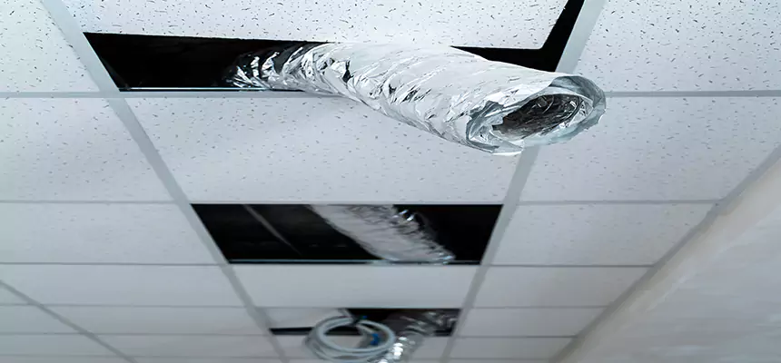 Our Air Duct Pet Hair Removal Services in Plant City, FL