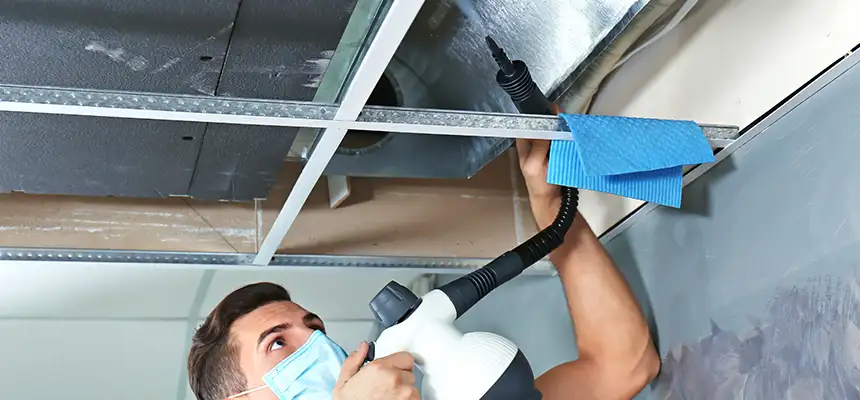 Our Air Duct Rodent Removal Services in Plant City, FL