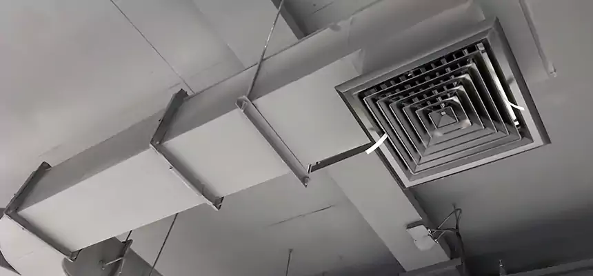 Restorative Allergy Relief Vent Cleaning – Coil, Blower & Housing Detail in Plant City