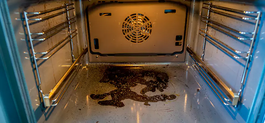 Our Dryer Vent Mold Cleaning Services in Plant City, FL