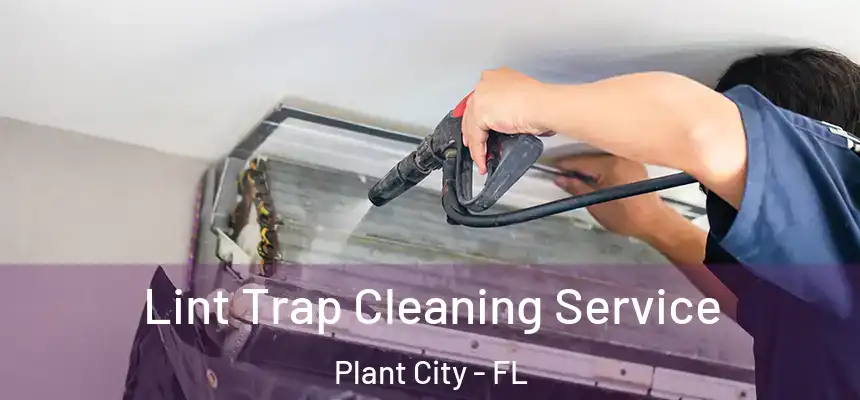 Lint Trap Cleaning Service Plant City - FL