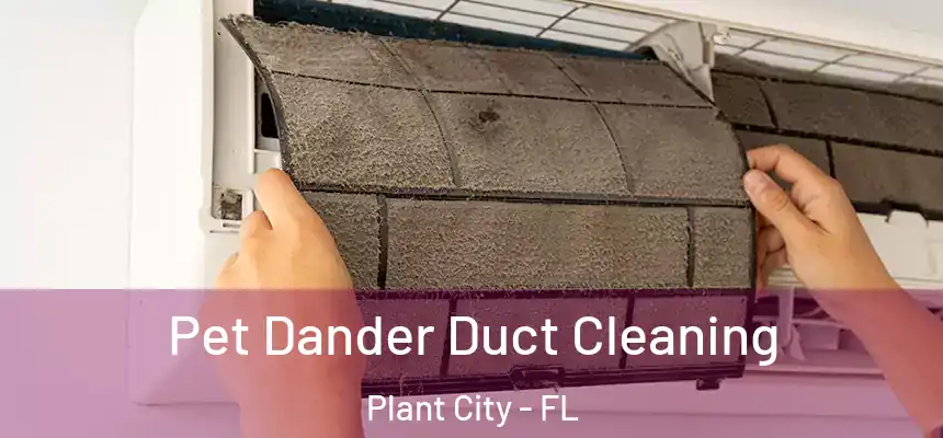 Pet Dander Duct Cleaning Plant City - FL
