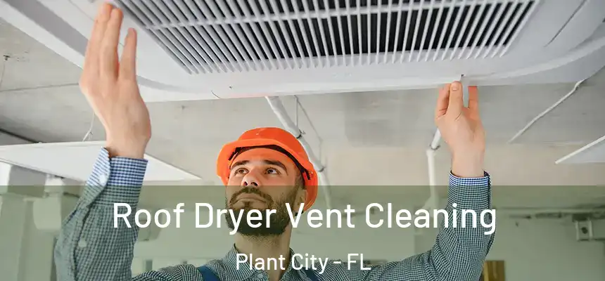 Roof Dryer Vent Cleaning Plant City - FL