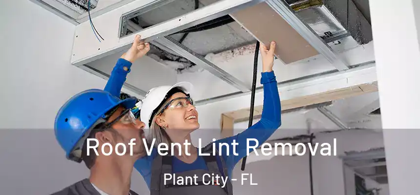 Roof Vent Lint Removal Plant City - FL