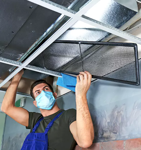 About Air Duct Bacteria Removal in Plant City