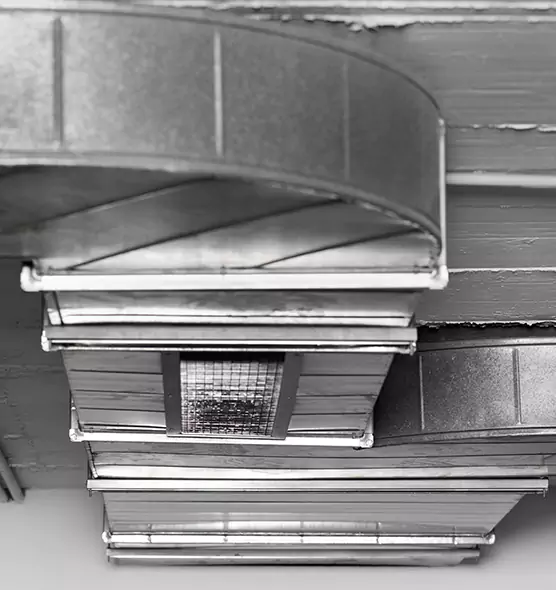 Professional Air Duct Pest Removal in Plant City, FL