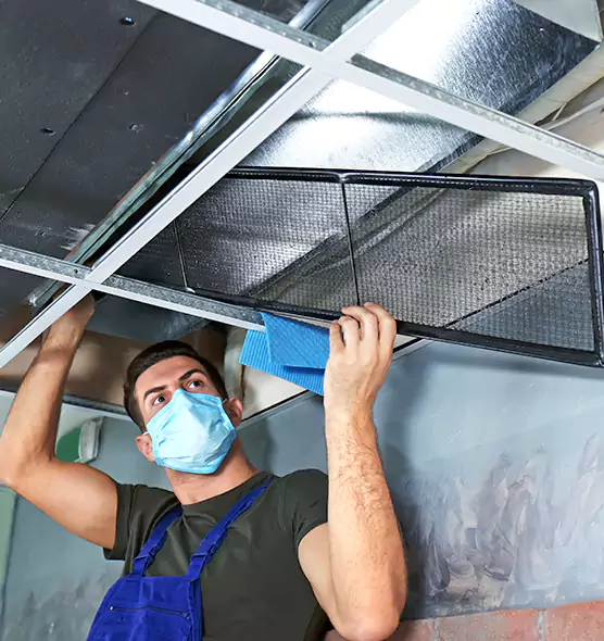Professional Air Duct Pollen Cleaning in Plant City, FL