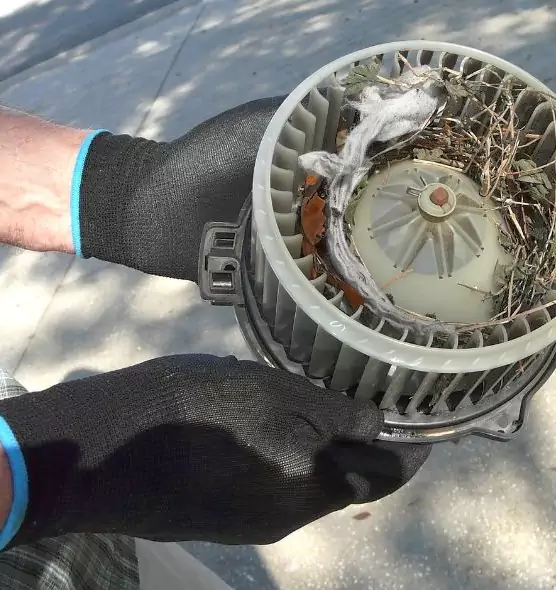 About Air Duct Rat Removal in Plant City, FL