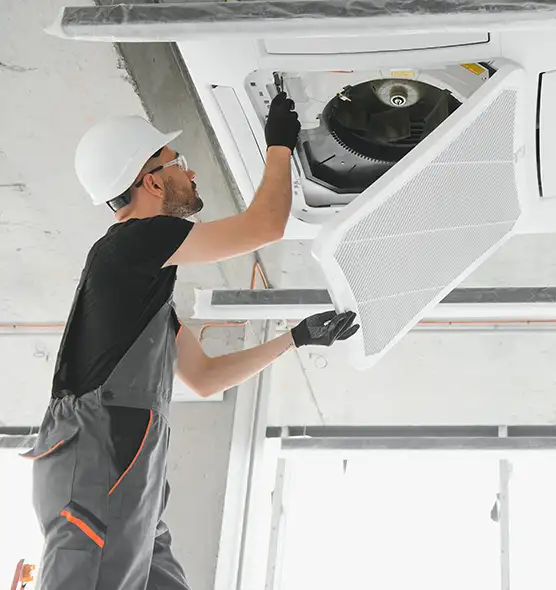 About Air Duct Rodent Removal in Plant City, FL