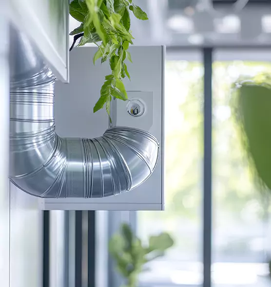 Professional Eco-Safe Dryer Vent Cleaning in Plant City, FL