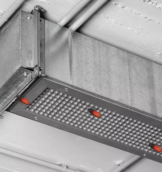 Affordable Insect Removal from Air Ducts in Plant City, FL