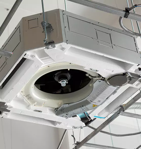 Professional Roof Vent Lint Removal Plant City, FL