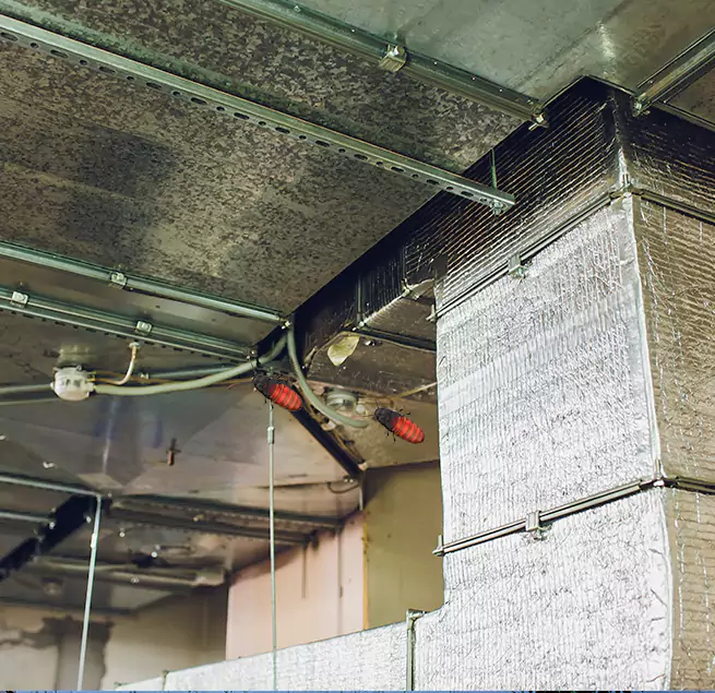 Why Homeowners & Businesses Trust Us in Plant City, FL?