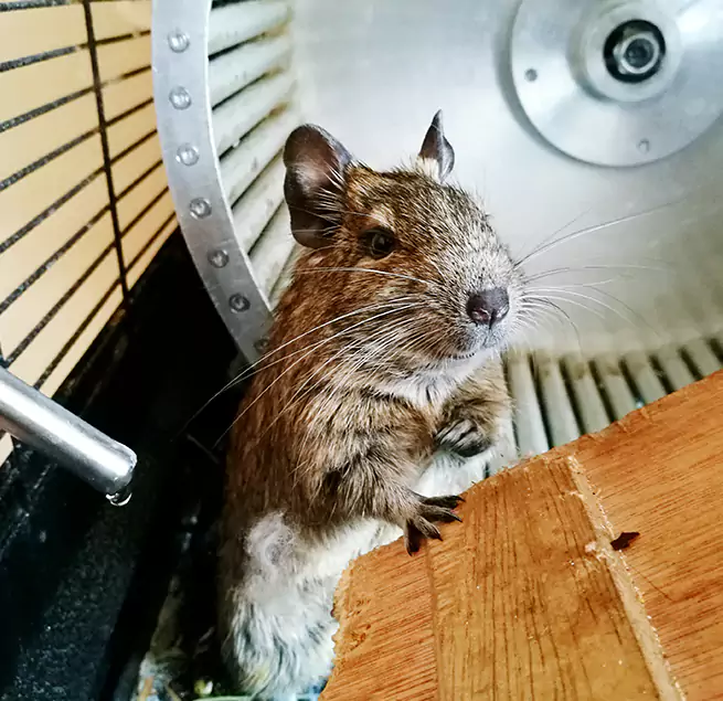 Why Homeowners & Businesses Trust Us Plant City, FL