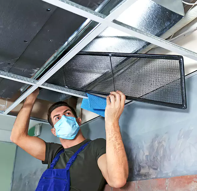 Why Homeowners Businesses Trust Us in Plant City, FL