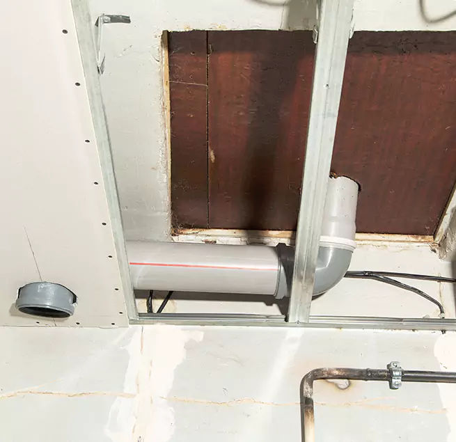 Why Homeowners & Businesses Trust Us in Plant City, FL?