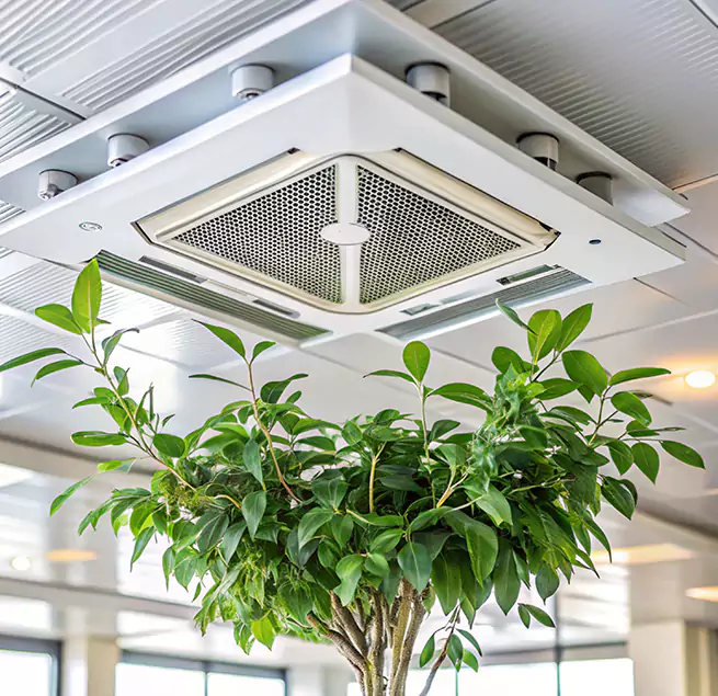 Why Homeowners & Businesses Trust Us in Plant City, FL?