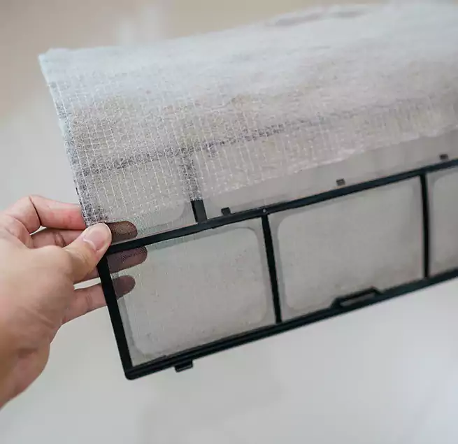 Why Homeowners & Businesses Trust Us in Plant City, FL?