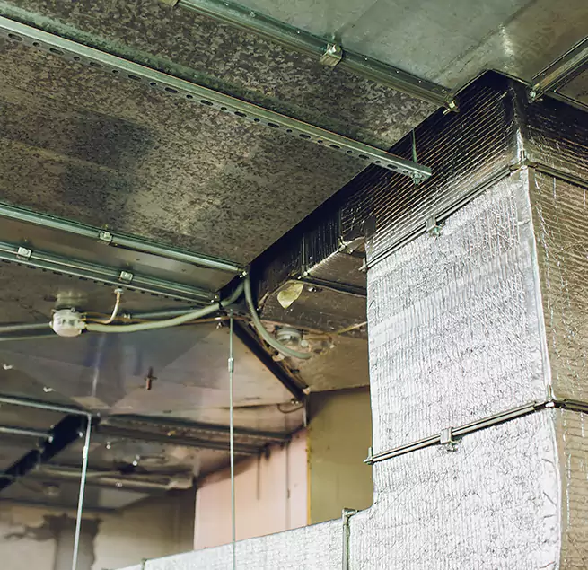 Why Homeowners & Businesses Trust Us in Plant City, FL?