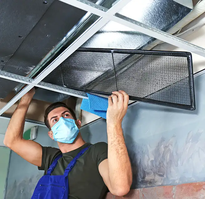 Why Homeowners & Businesses Trust Us in Plant City, FL?